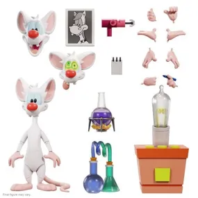 Animaniacs ULTIMATES! Wave 1 - Pinky 7" Inch Action Figure - Super7