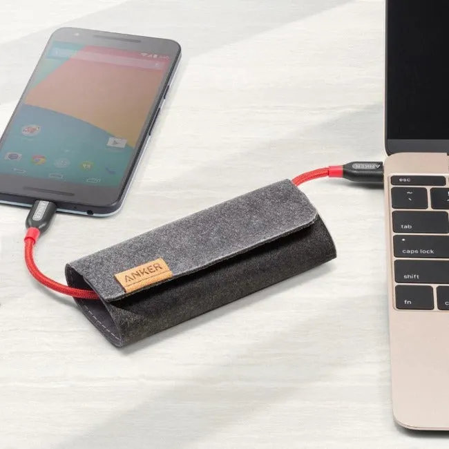 Anker PowerLine  3ft USB-C to USB-C