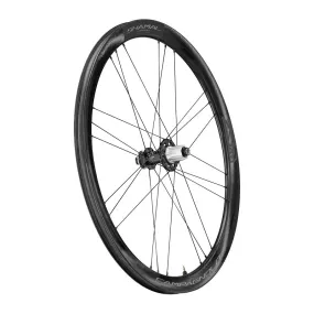 Campagnolo Shamal Carbon DB