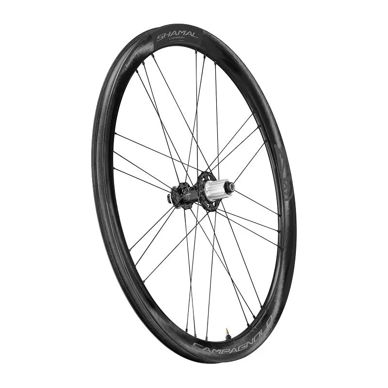 Campagnolo Shamal Carbon DB