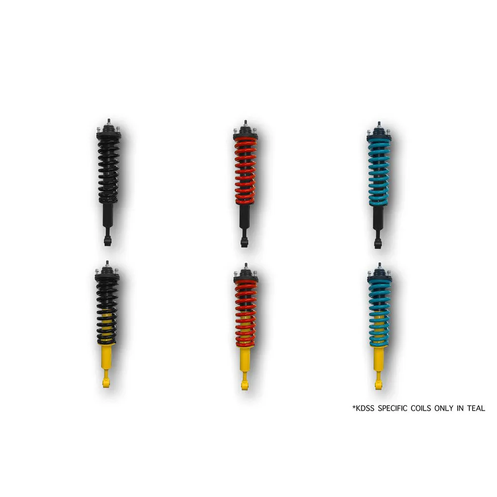 Dobinsons - Rear Coil Springs (C59-325) - 4Runner (2010-2022), FJ Cruiser (2007-2014)