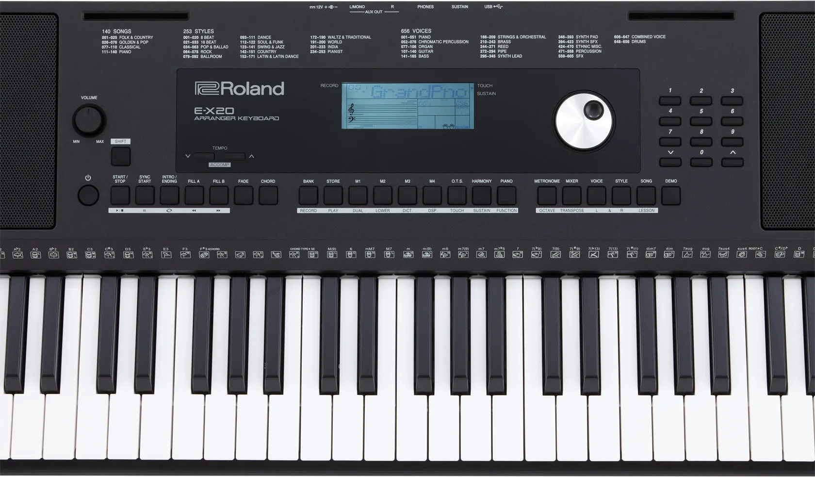 Roland E-X20 Arranger Keyboard - Black